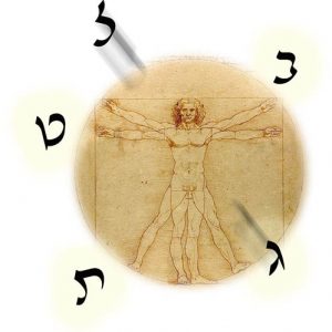 משמעות אותיות קורס ביו נומורולוגיה