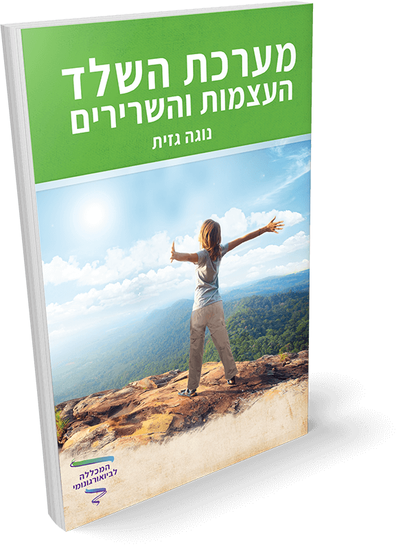 הטיפול הביואורגונומי במערכת השלד והשרירים