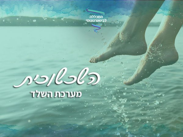 שכשוכית שלד