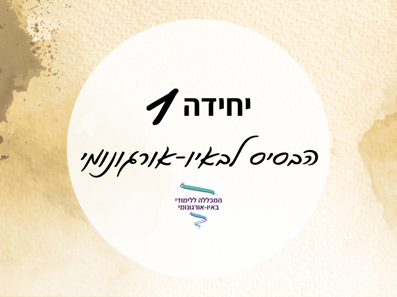יחידה 1: הבסיס לבאיו-אורגונומי - 2025 - המכללה ללימודי באיו-אורגונומי