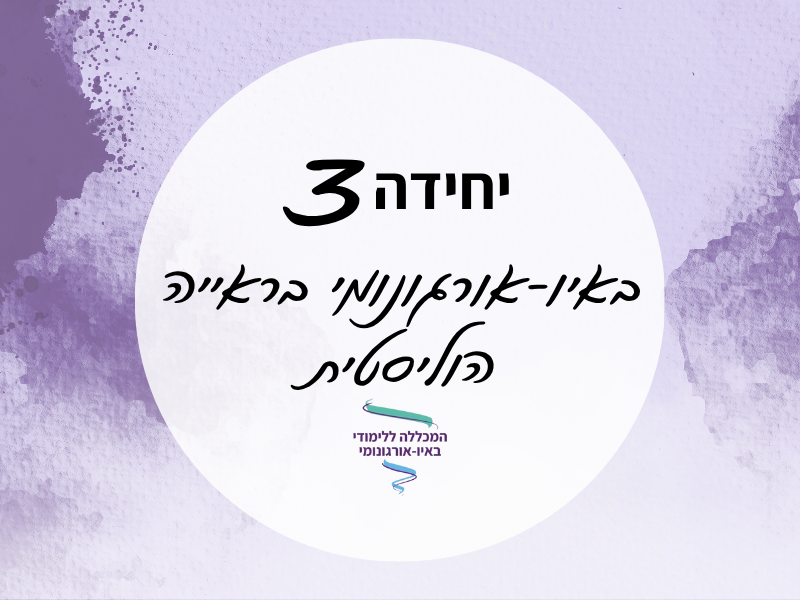 יחידה 3_12-10-25