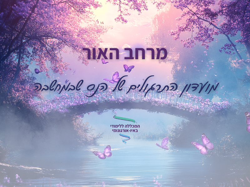 מרחב האור-מועדון התרגולים של הנס שבמחשבה
